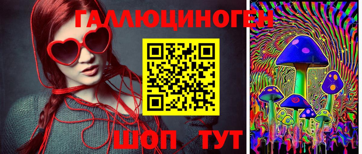 Псилоцибиновые грибы Cubensis Владимир