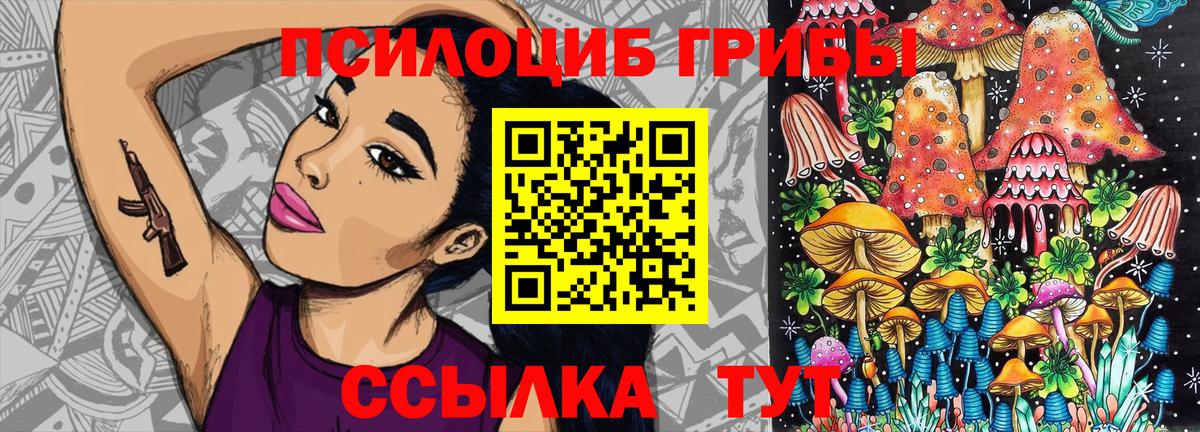 Владимир  закладки  Вход с VPN  Галлюциногенные грибы мухоморы 